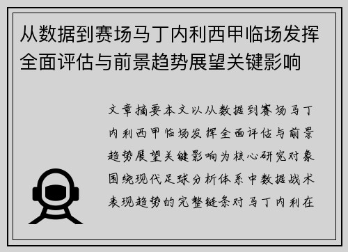 从数据到赛场马丁内利西甲临场发挥全面评估与前景趋势展望关键影响